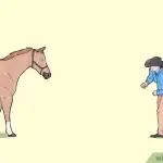 Horse, befriend me!
