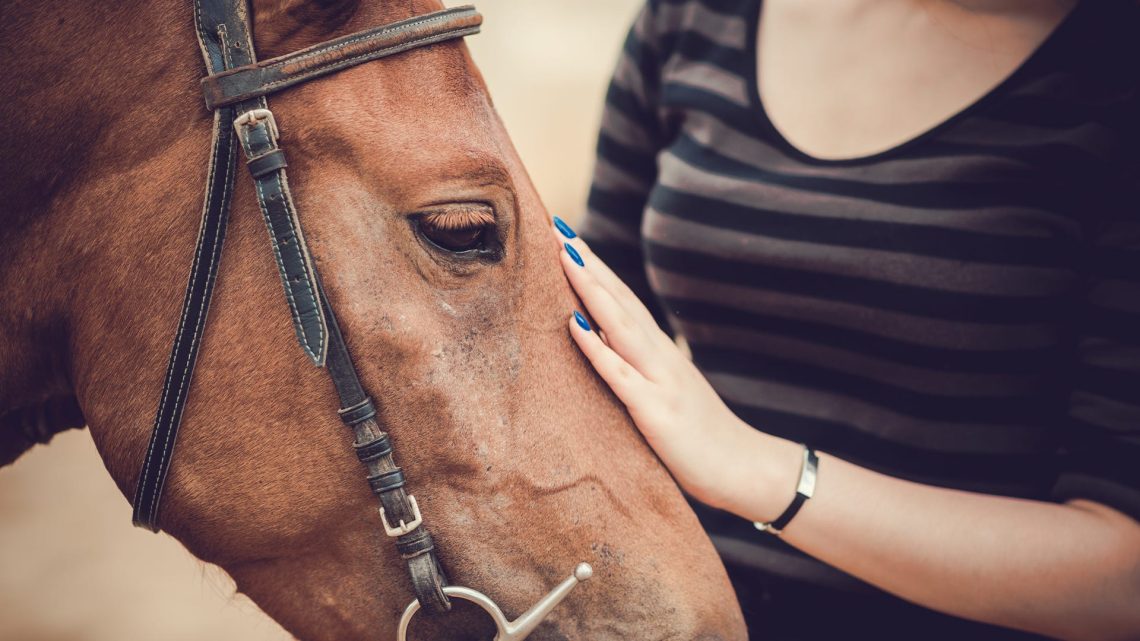 Horse Etiquette: Check Your Horse&#8217;s Behavior