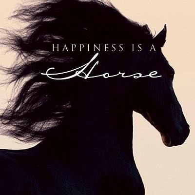 horse happiness