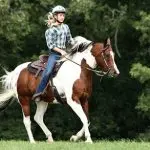 Horse Problems: A Hard Mouth is a Different Approach