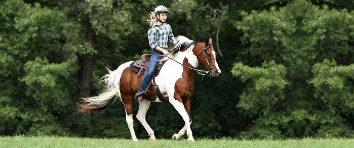 Horse Problems: A Hard Mouth is a Different Approach