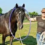 Horse Training: The Difference Between Habituation and Learned Helplessness