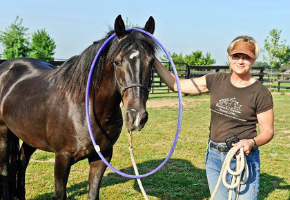 Horse Training: The Difference Between Habituation and Learned Helplessness