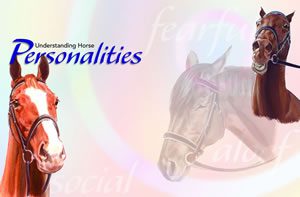 Horses and people: personality types and ways of interacting. Part 1. Horses