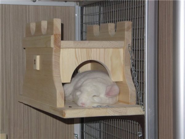 House for a chinchilla: choosing a finished one or creating it yourself - manufacturing materials, photos, drawings and dimensions