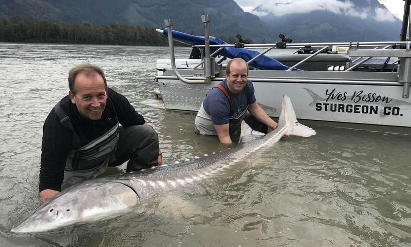How and what to catch sturgeon: methods of catching, its location