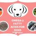 How to choose the best food for your puppy