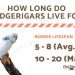 Vitamins for budgerigars &#8211; the key to proper diet and bird health
