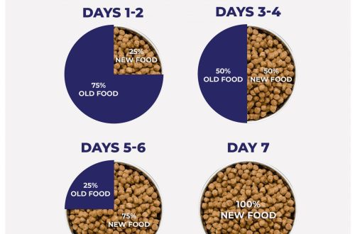 How often and why should you change your dog&#8217;s food?