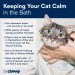 How to keep your cat&#8217;s coat healthy