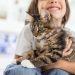 Why are kittens and cats returned to the shelter?