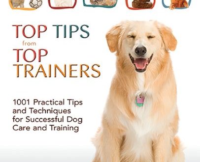 How to Become a Great Dog Owner: Practical Tips and Tricks