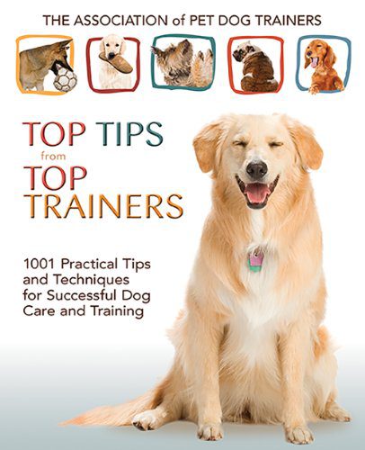How to Become a Great Dog Owner: Practical Tips and Tricks