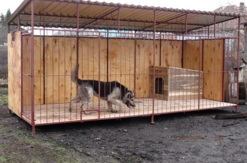 How to build an aviary and a booth for a German shepherd with your own hands