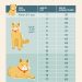 Why cats love bleach and how to keep your pet safe