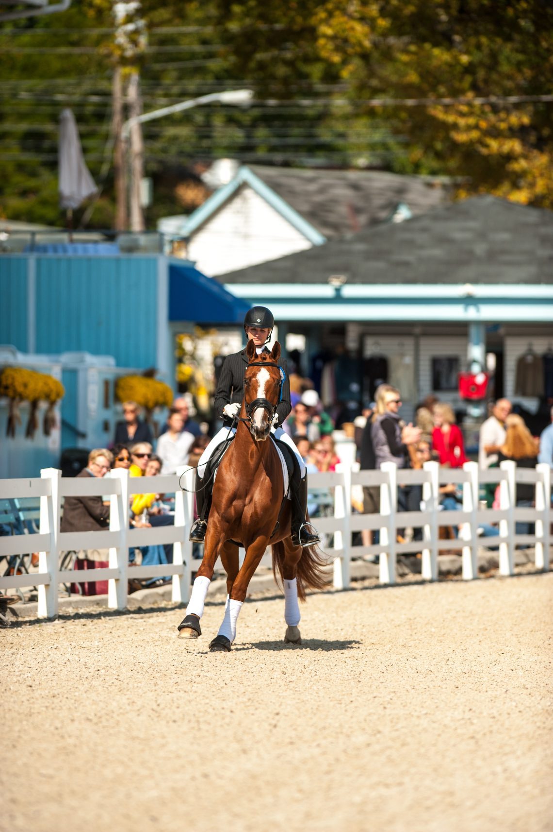 How to Calm a Nervous Horse with Lateral Work