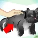 Spa for cats: what is it and which cats are suitable