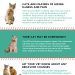 Feline immunodeficiency virus: symptoms and signs