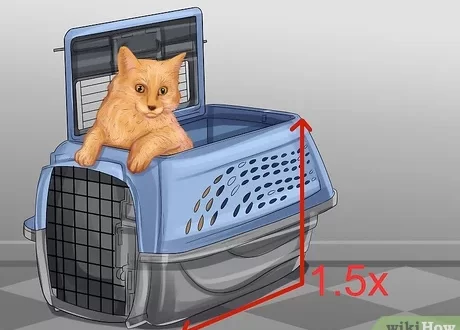 Kako odabrati nosiljku za mačke