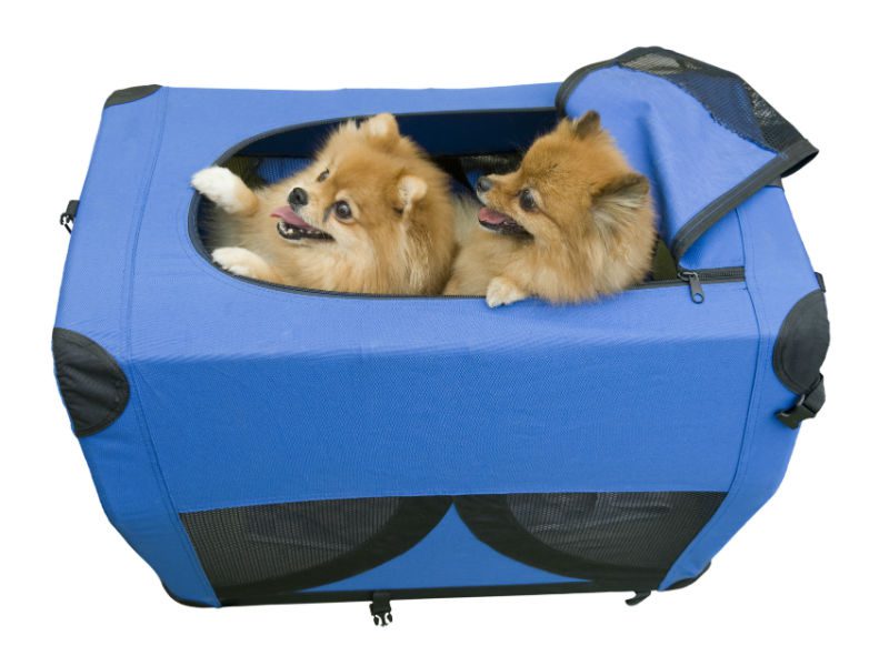 How to choose the right dog carrier
