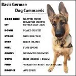 How to choose the right nickname for a German Shepherd boy: rules, requirements and the most popular names