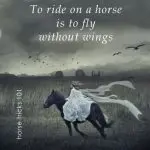 How to consider the horse’s status?