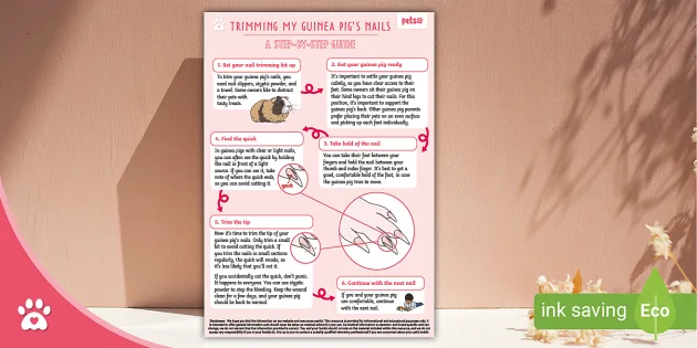 How to cut your guinea pig&#8217;s nails: a step by step guide