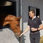How to deal with a “hot” horse?