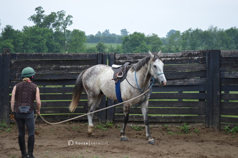 How to deal with a hot horse?