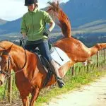 How to Deal with Horse Tension: Execution Secrets
