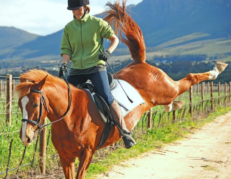 How to Deal with Horse Tension: Execution Secrets