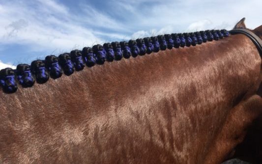 How to deal with the top XNUMX problems when grooming a mane and tail