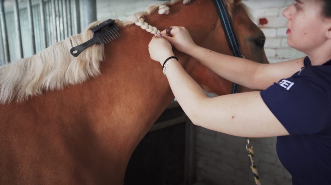 How to deal with the top XNUMX problems when grooming a mane and tail