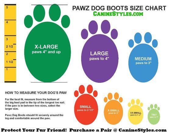 How to determine the size of clothes and shoes for dogs