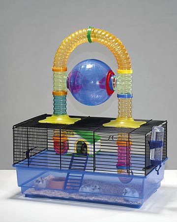How to equip a cage for a hamster, accessories and home decoration for Djungarian and Syrian pets