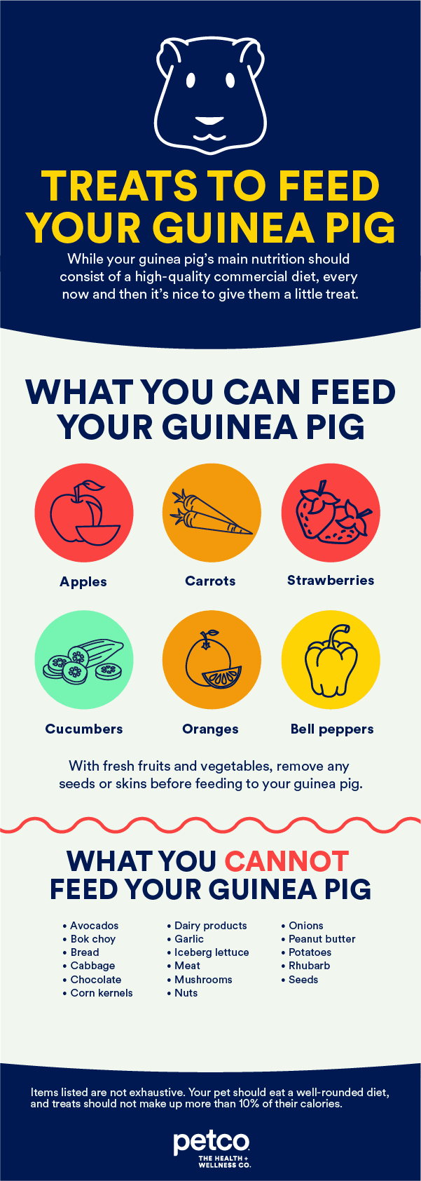 How to feed a guinea pig: choosing the right diet