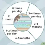 How to feed guppy fry and feeding features from the first minutes of life
