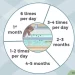 Kuidas Djungaria hamstrit eristada: kasulikud näpunäited