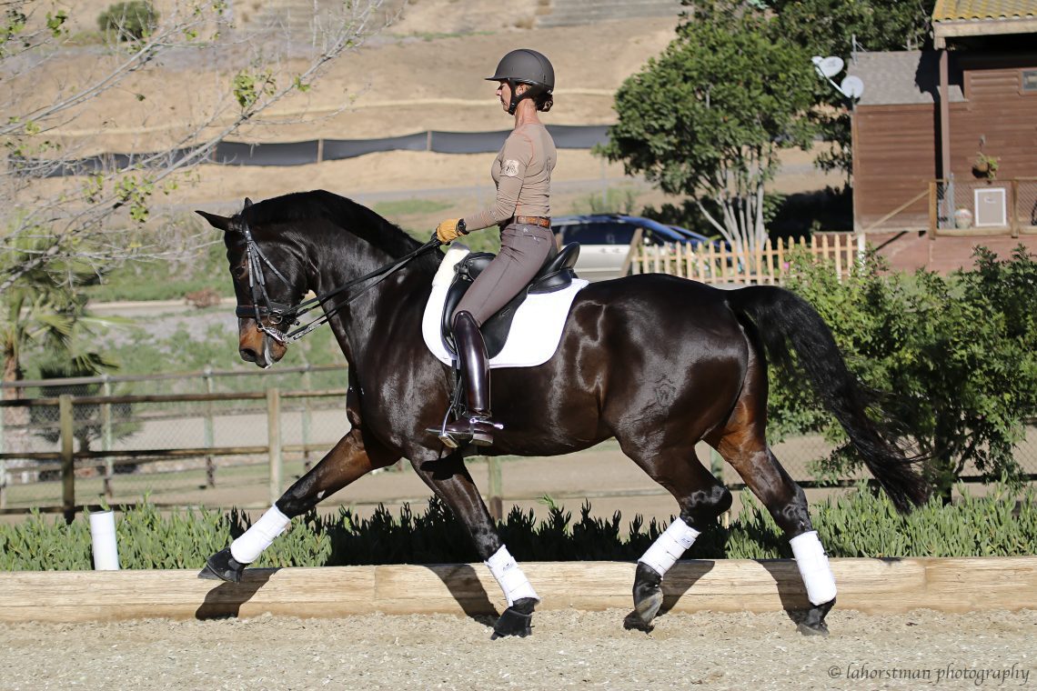 How to feel the correct position of the legs in dressage seating?