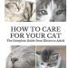 Overexposure of cats at home: what is important to know