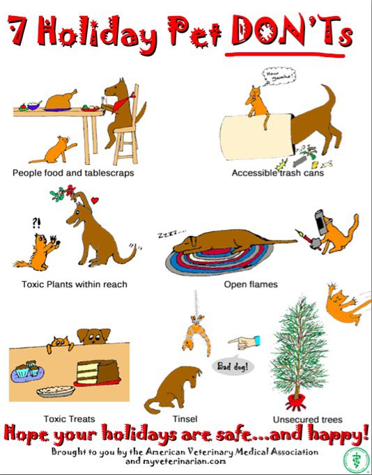 How to help your dog get through the holidays