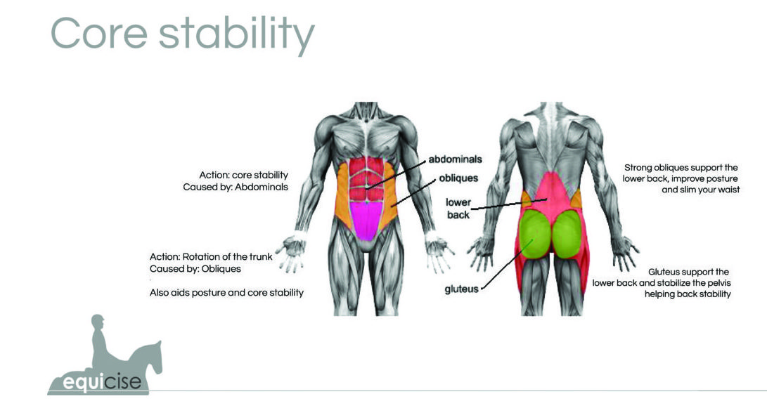 How to Improve Core Stability for Riding