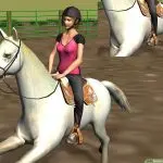 How to improve the horse’s sensitivity to messages?
