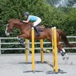 How to keep balance on a horse with a powerful jump