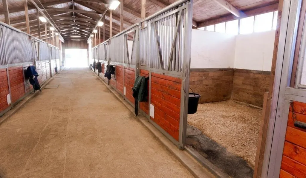 How to lay the floors of stalls and stables?