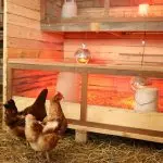 How to make a brooder for chickens with your own hands: manufacturing technology