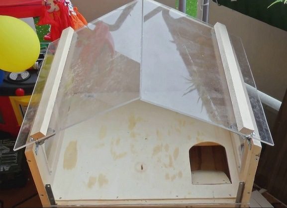 How to make a cage for a guinea pig with your own hands at home - drawings and photos