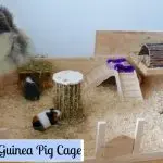 How to make a cage for a guinea pig with your own hands at home – drawings and photos