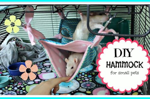 How to make a chinchilla hammock with your own hands &#8211; patterns and step by step instructions