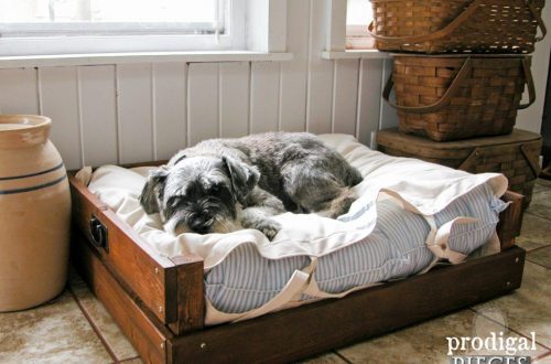 How to make a cozy dog ​​bed